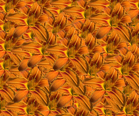 Lily Orange Pattern