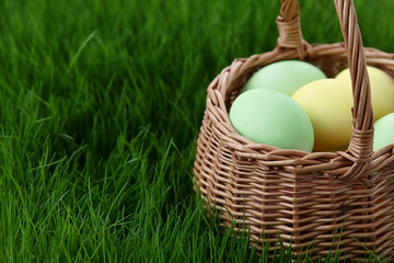 Green and yellow easter eggs basket in a grass meadow