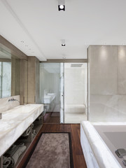 Modern bathroom with marble and parquet, nobody