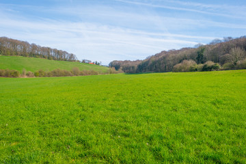 Fototapeta premium Panorama of a sunny green meadow on a hill 