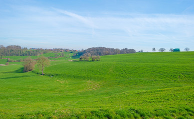Fototapeta na wymiar Panorama of a sunny green meadow on a hill 