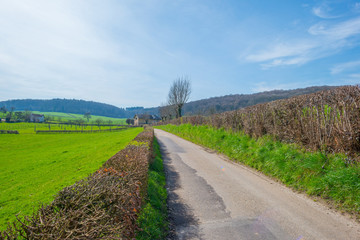 Fototapeta na wymiar Path through a field in spring