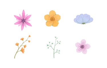 Pastel flower illustration