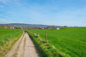 Path through a field in spring