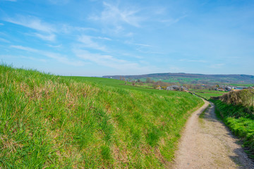 Path through a field in spring