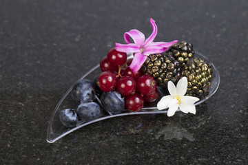 Mini canapes with elements of molecular cuisine on stone 