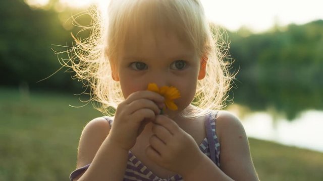 Little girl Sniffing flower at sunset
