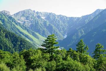 Obraz premium Latem latem