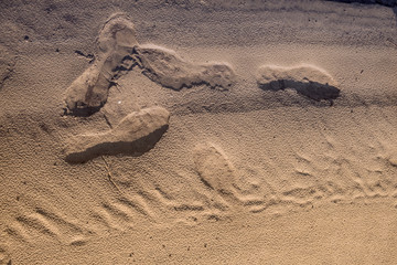 Textural background traces of a man on the sea sand