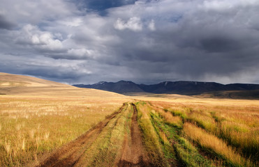 Road path on a desert wild mountain plateau with the orange yellow dry grass at the background of the hills under a stormy dramatic sky with white clouds, Plateau Ukok, Altai, Siberia, Russia