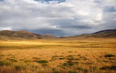 Eine breite Talsteppe mit gelbem Gras unter einem bewölkten Himmel auf dem Hintergrund von Bergketten, das Altai-Gebirge, Sibirien, Russland © grimarr