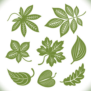 Green leaves shapes vector set isolated on white background.