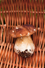 Delicate Small Mushroom Porcini On Background Of Wicker Basket Close Up.