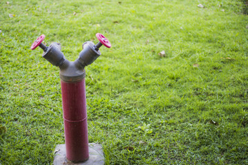 Red fire hydrant against a green lawn photo