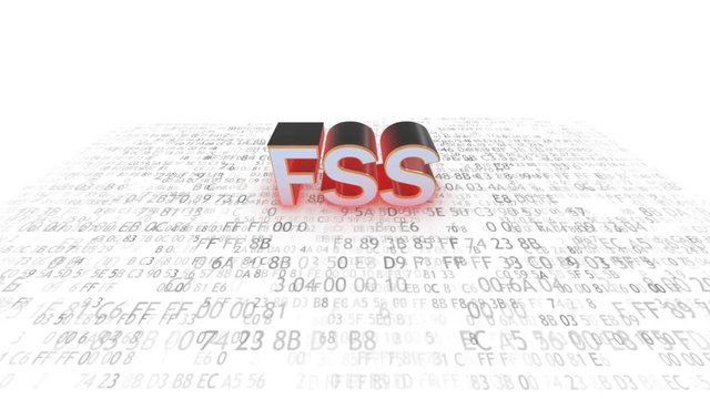 Federal Security Service of the Russian Federation. FSS