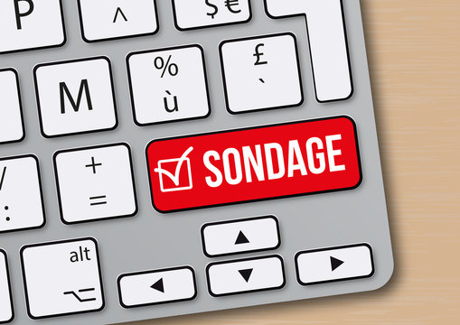 1 8 Best Sondage Images Stock Photos Vectors Adobe Stock