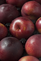 Fresh produce close up details.