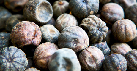  dry lemon in abstract  pattern