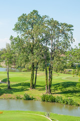 Beautiful garden and lake with blue sky.