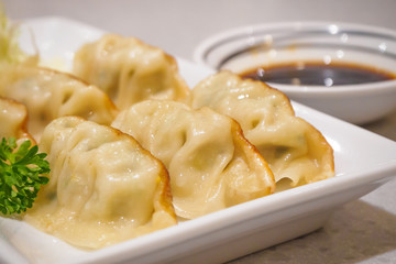 Gyoza dumplings with vegetables