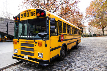 Fototapeta na wymiar Yellow School Bus Parking