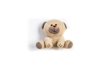 Lovely brown teddy bear sit down isolated on white background