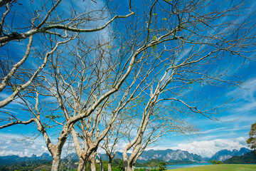 Landscape of tropical view in southern Thailand.