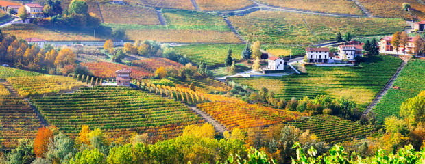 Pictorial countryside and beautiful vineyards of Piemonte in autumn colors. Italy