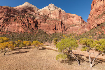 Autumn in Zion