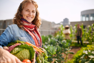 Friendly woman harvesting fresh vegetables from the rooftop greenhouse garden