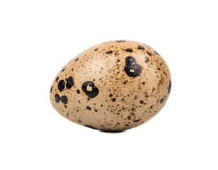 Fresh quail egg isolated on white background