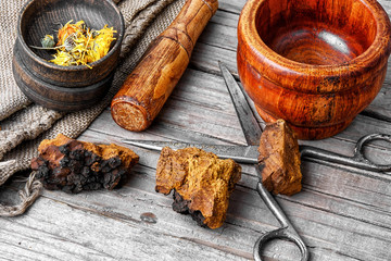 Set of healing herbs