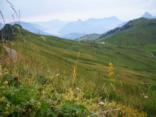 Switzerland - Swiss Alps hiking trail