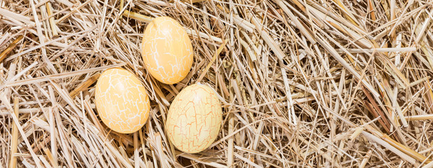 Drei Eier im Stroh