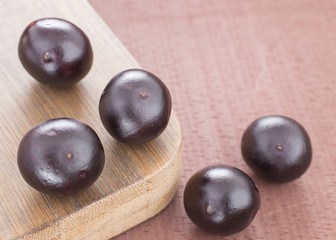 The amazon acai fruit - Euterpe oleracea