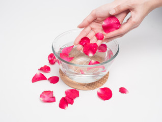 Aromatherapy  product  Spa massage set, candle and red rose in tray .Woman  hand washing water on  white wood background .