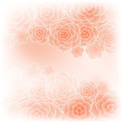 Beautiful orange rose flower background