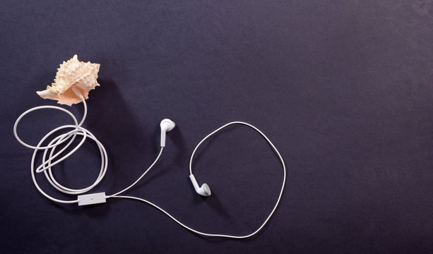 White headphones and seashell on a dark background closeup