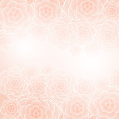 Beautiful orange rose flower background