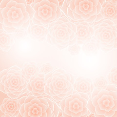 Beautiful orange rose flower background