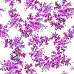 Pattern of pink wild flowers on a branch in watercolor 