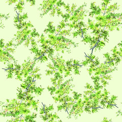 Pattern of green wild flowers on a branch in watercolor.