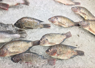 Group of fish,Oreochromis nilotica freezing on ice for sell in market