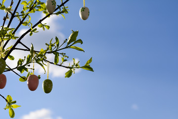 Osterstrauch mit ei vor Himmel