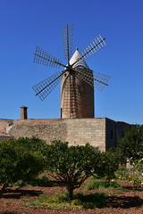 Plakat Windmill in village Agaide,Majorca island