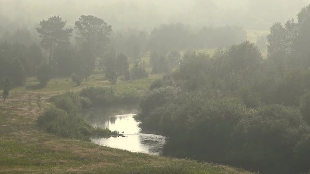 Forest River in Fog in Summer Early Morning