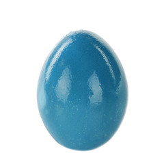 blue egg isoalated