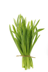 green grass isolated