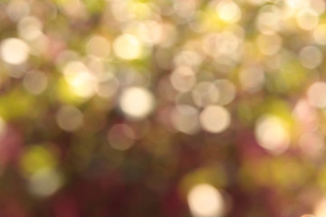 Obraz premium Blurred abstract circular light reflections (bokeh)