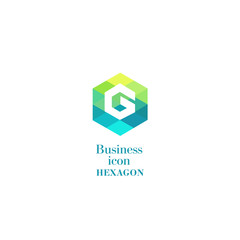 Business icon Hexagon, flat polygonal hexagon, geometric design concept